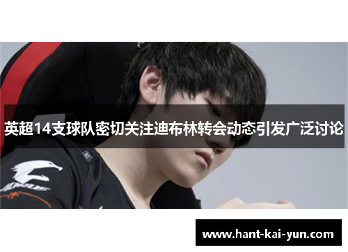 英超14支球队密切关注迪布林转会动态引发广泛讨论